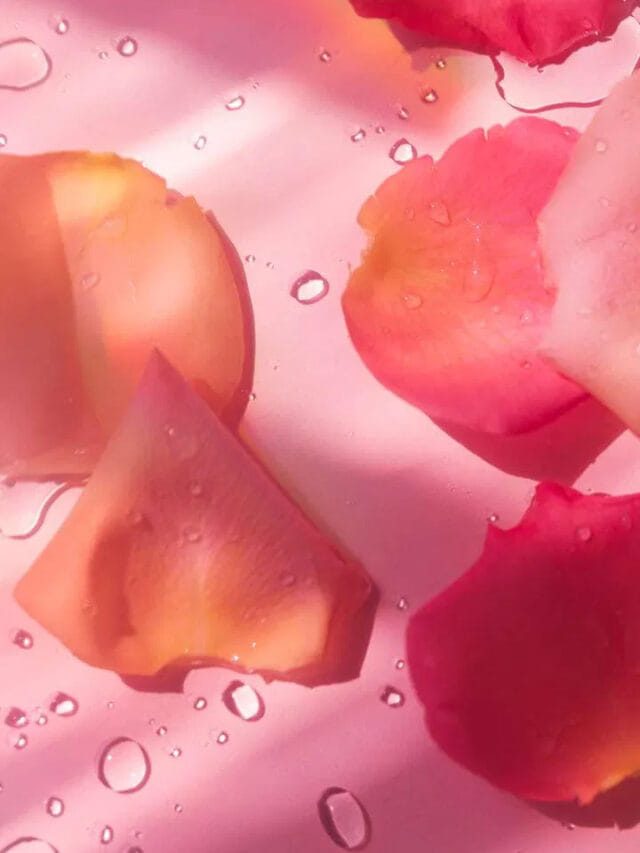 గులాబీ రేకుల మ్యాజిక్ ఇదే.. ఇలా చేస్తే మీ అందం, రెట్టింపే!