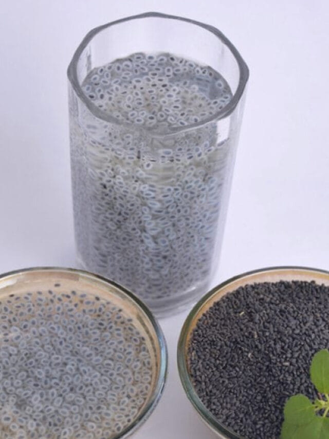 సమ్మర్‌లో సబ్జా చేసే మేలు ఇదే.. తీసుకుంటే ఎన్ని లాభాలో..