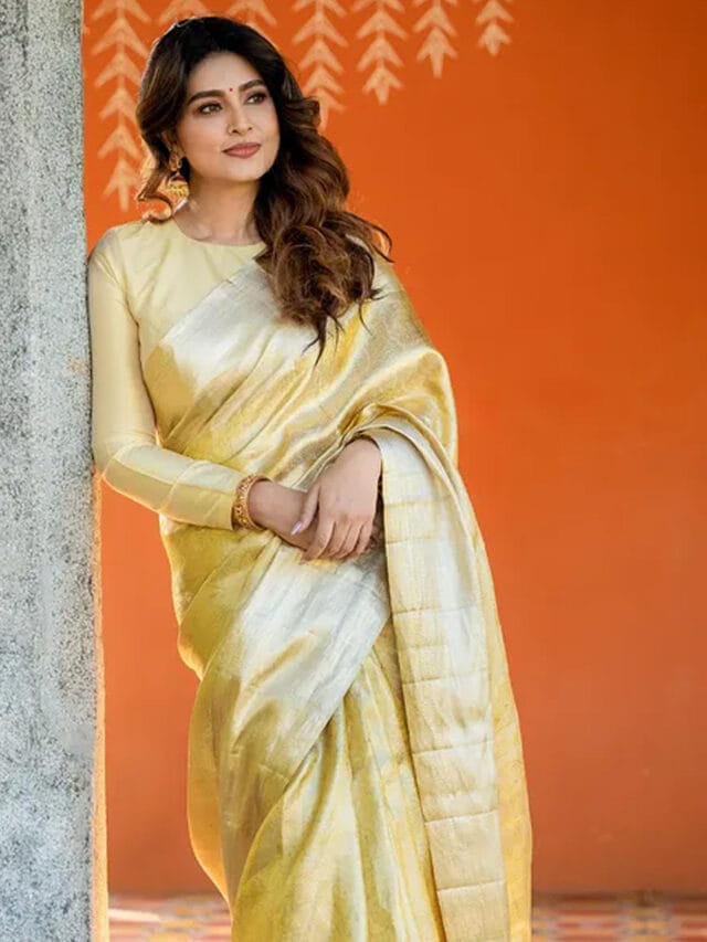 పట్టు చీరలో ముద్దుగుమ్మ.. వన్నె తగ్గని అందంతో సీనియర్ బ్యూటీ!