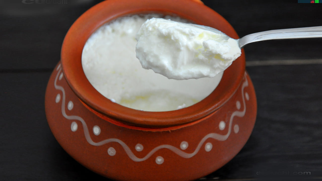Curd Storage Tips: సమ్మర్లో పెరుగు పుల్లగా మారుతుందా? ఇలా చేస్తే రోజుల తరబడి తాజాగా ఉంటుంది!