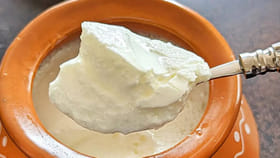 వేసవికాలంలో పెరుగు తినడం మంచిదేనా? బయట పడ్డ నమ్మలేని నిజాలు