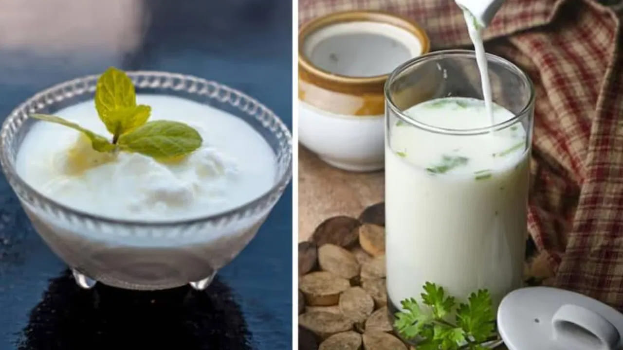 పెరుగు Vs మజ్జిగ.. ఆ సమస్యలకు ఏది బెస్ట్..? అందరూ తెలుసుకోవాల్సిన విషయాలు ఇవే..