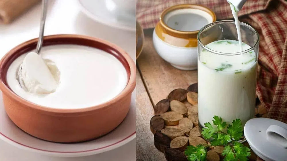 Curd vs Buttermilk: వేసవిలో పెరుగు తినాలా? లేదంటే మజ్జిగ తాగాలా? ఏది ఆరోగ్యానికి మంచిది..