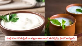 పెరుగు vs మజ్జిగ.. వేసవిలో మీ పొట్టకు ఏది బెస్ట్?