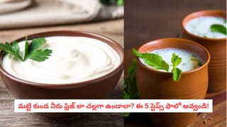 Summer Hacks: కొత్త కుండ కొన్న వెంటనే ఈ పొరపాట్లు చేయకండి..  ఆ నీరు అస్సలు చల్లబడదు!