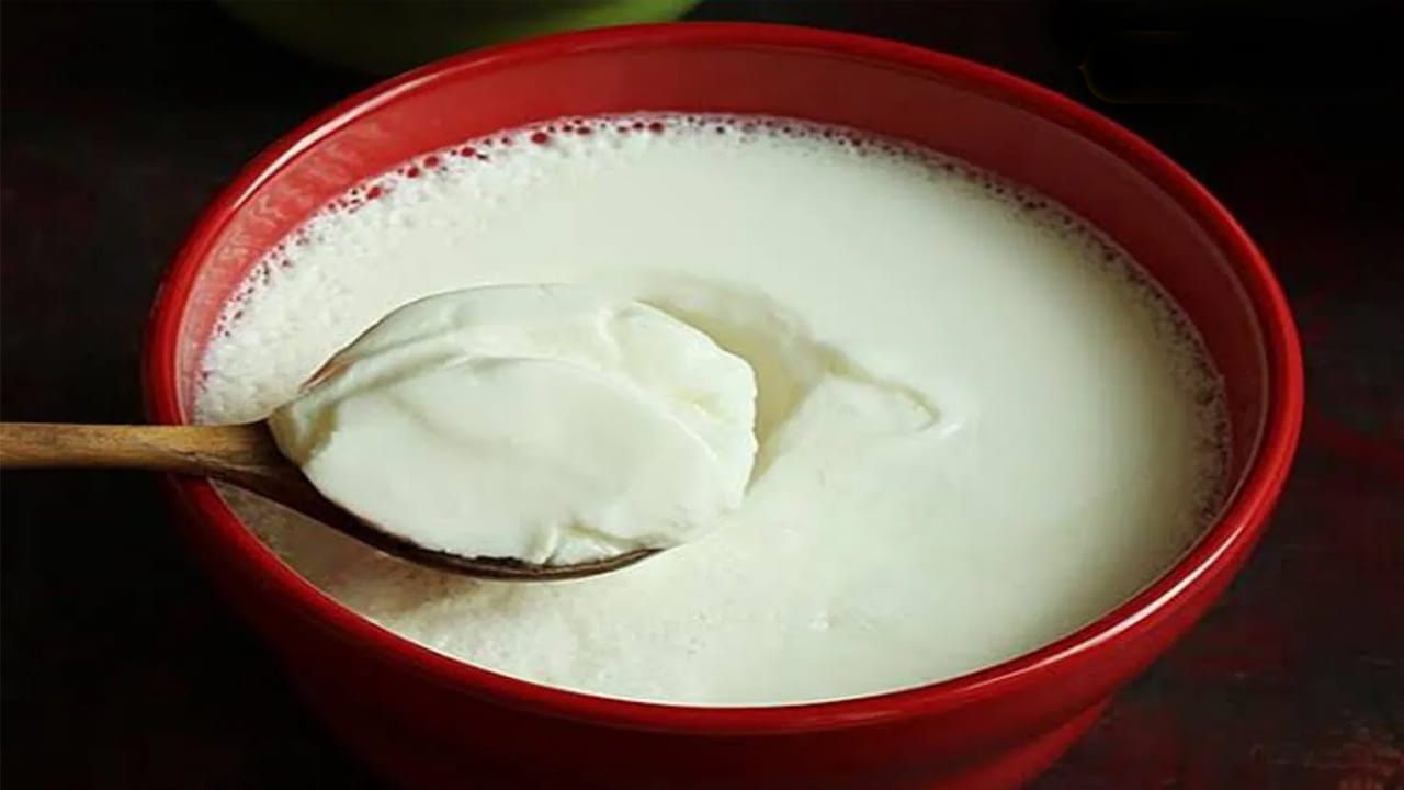  Curd: వేడి పాలను విరగగొట్టడానికి మరిగించిన పాలను ఎప్పుడూ ఉపయోగించవద్దు. మరీ వేడిగా ఉన్న పాలను విరగగొట్టడానికి ప్రయత్నిస్తే పెరుగు త్వరగా విరిగిపోతుంది. అందువల్ల పాలు పూర్తిగా చల్లారిన తర్వాత మాత్రమే వాటిని విరగగొట్టలని నిపుణులు చెబుతున్నారు.