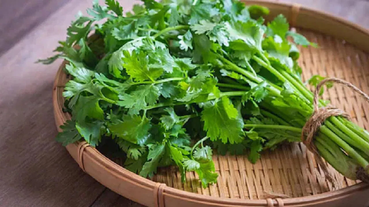 Curry Leaves Vs Coriander