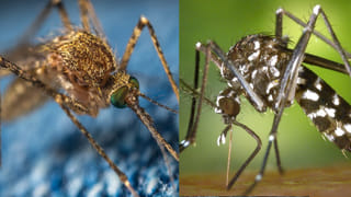 సూర్య చంద్రుల కలయిక.. ఆ రాశులకు మహర్దశ.. సుడి తిరగడం పక్కా!