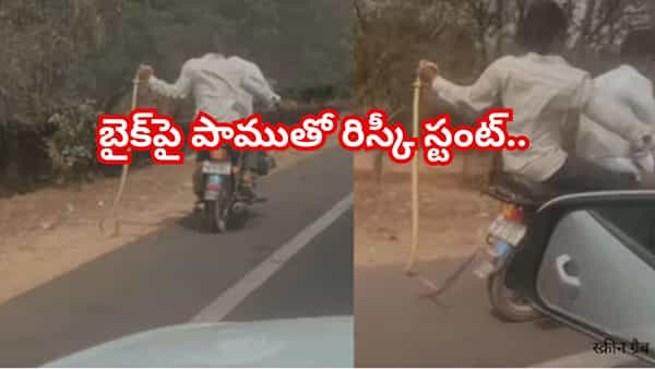 Viral Video: బైక్పై పాముతో రిస్కీ స్టంట్.. వైరల్ వీడియోపై నెటిజన్ల ఆగ్రహం