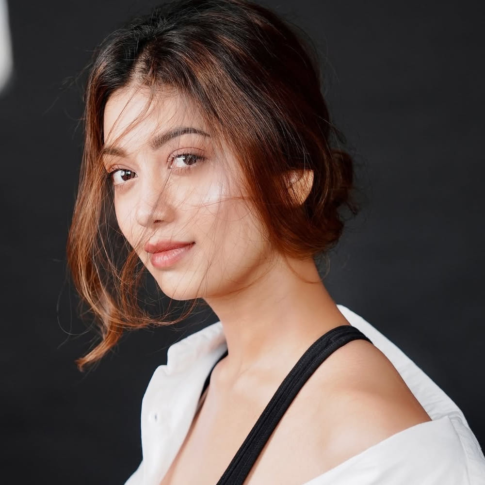 ఆ తర్వాత తెలుగులో గోపీచంద్ నటించిన సీటీమార్ సినిమాలో నటించింది. ముఖ్యంగా ఈ సినిమాలో తమన్నానే డామినేట్ చేసింది. అలాగే ఆది సాయి కుమార్ క్రేజీ ఫెలో మూవీలో ఈ ముద్దుగుమ్మ నటిగా కనిపించింది. కానీ తెలుగులో ఈ అమ్మడు నటించిన సినిమాలు అట్టర్ ప్లాప్ అయ్యాయి. 