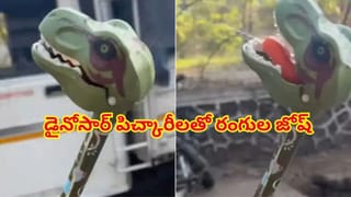 Viral Video: ఓరీ దేవుడో ఈ అక్కకు తిక్క బాగా ముదిరింది..! అసలైన పాములతో స్నేక్ అండ్ లాడర్ ఆడుతూ హల్‌చల్