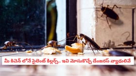 మీ కిచెన్లోనే సైలెంట్ కిల్లర్స్.. ఇవి మోసుకొచ్చే డేంజరస్ వ్యాధులు
