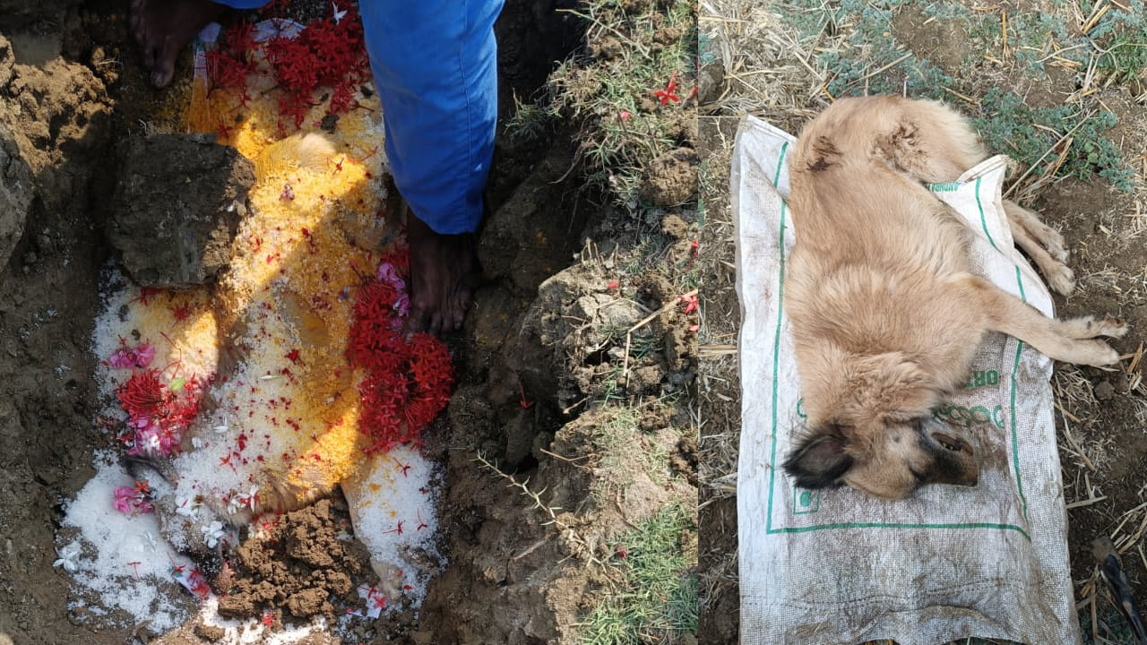  ఉప్పాక గ్రామానికి చెందిన ఒక కుటుంబం ఎంతో ప్రేమతో పెంచుకున్న పెంపుడు కుక్క అనారోగ్యంతో నిన్న మృతి చెందింది. ఆ కుక్క మరణంతో దాన్ని పెంచిన కుటుంబ సభ్యులే కాకుండా గ్రామస్తులు కూడా ఎంతో వేదనకు గురయ్యారు.