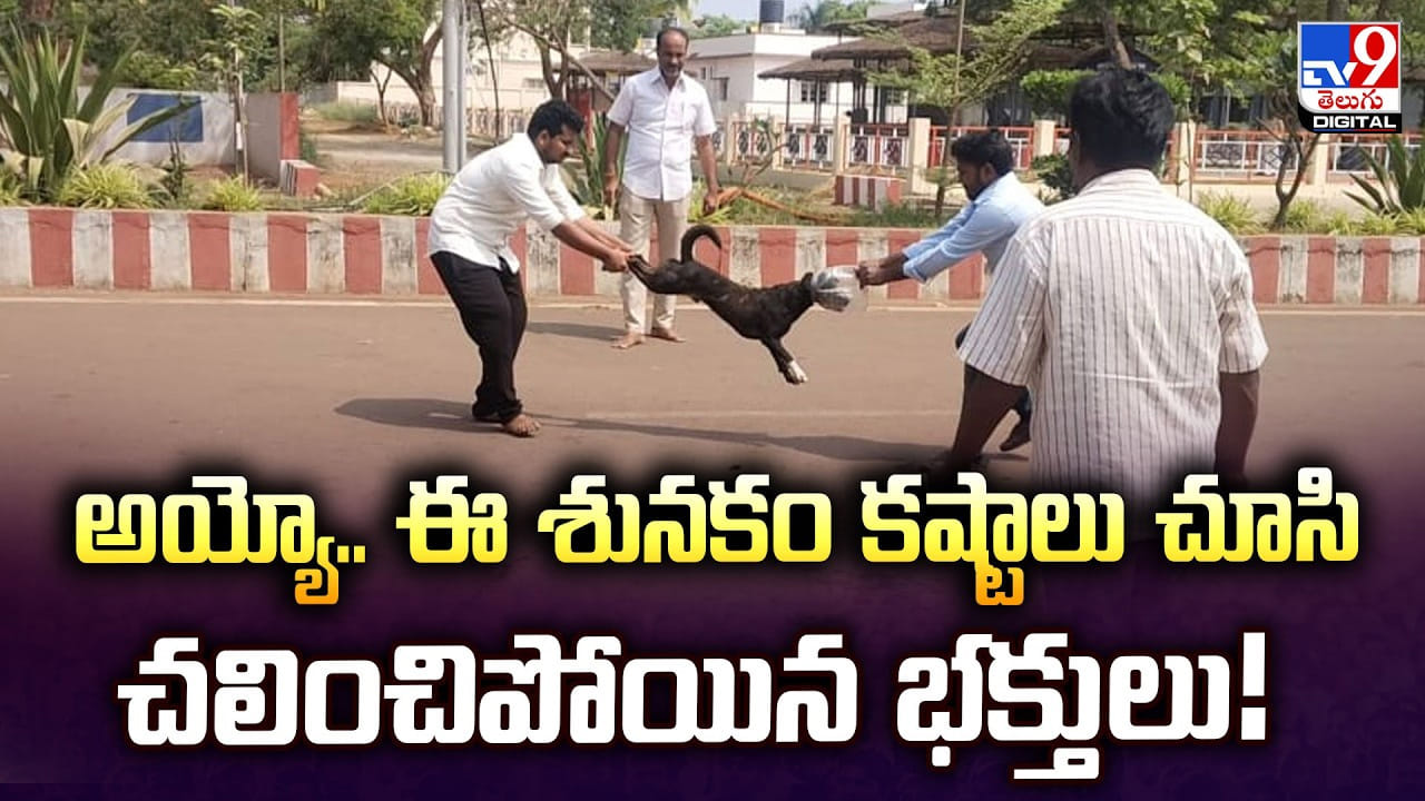 అయ్యో.. ఈ శునకం కష్టాలు చూసి చలించిపోయిన భక్తులు