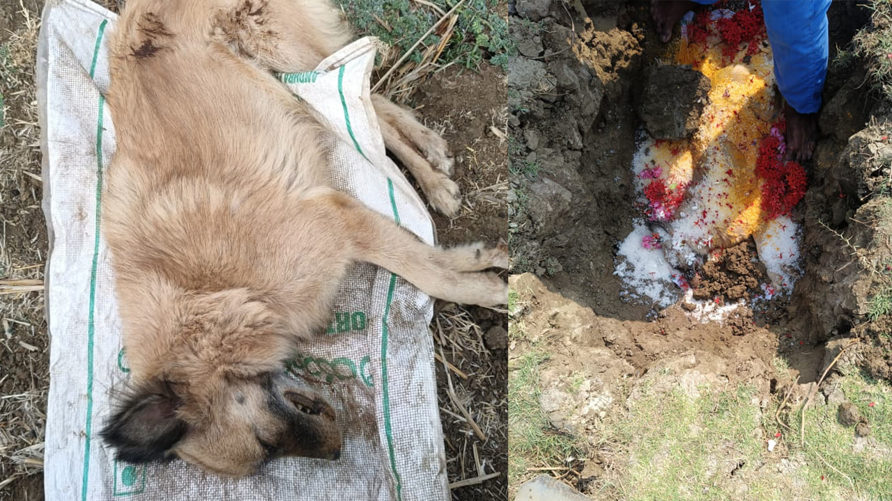 భద్రాద్రి కొత్తగూడెం జిల్లాలోని పినపాక మండలం ఉప్పాక గ్రామంలో మనుషులకే కాదు, జంతువులపైనా ప్రేమ, అనురాగం ఎంతగా ఉంటుందో చూపించే సంఘటన చోటుచేసుకుంది.