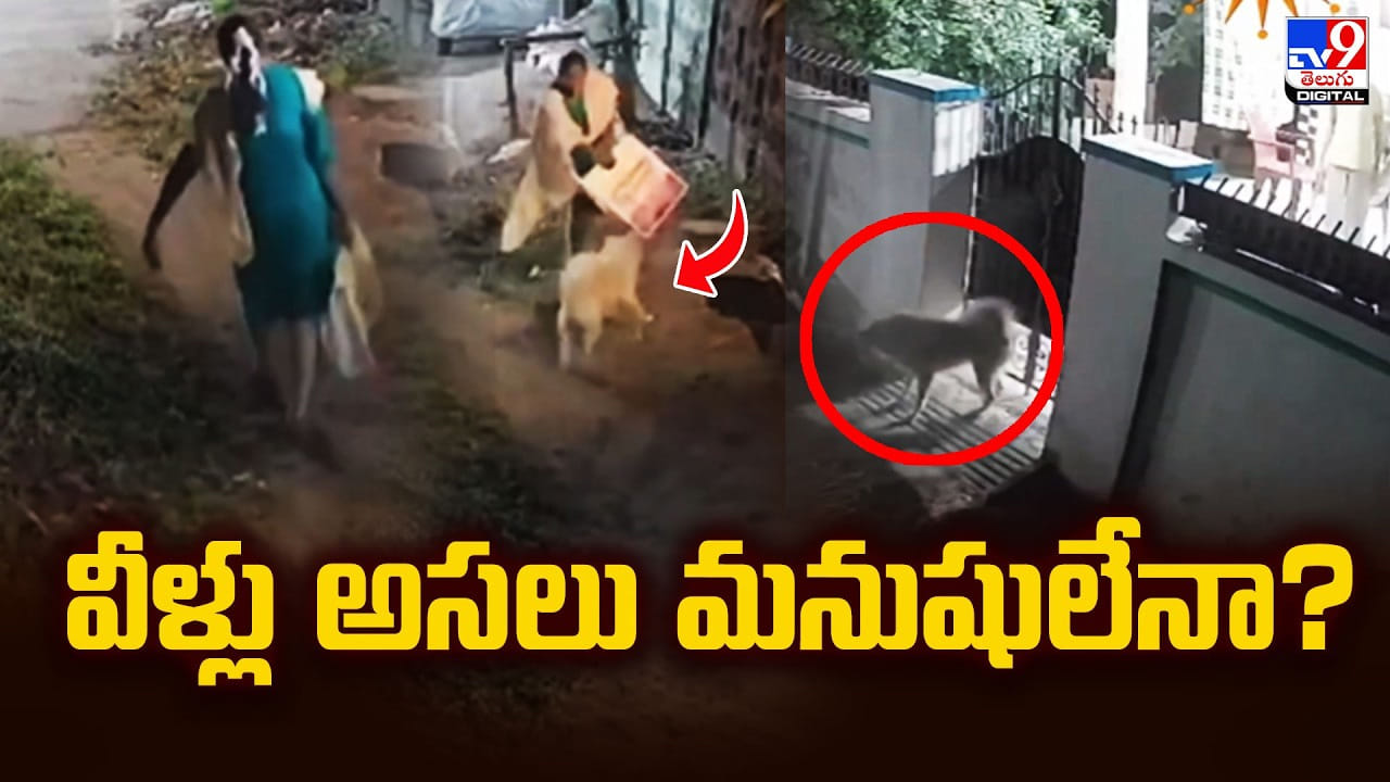 వీళ్లు అసలు మనుషులేనా ?? యజమానుల నిర్లక్ష్యం మరీ ఇంత దారుణం జరిగింది