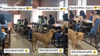 అయ్యబాబోయ్.. ఈ పాము ఎట్టా వేటాడుతుందో తెలిస్తే గుండెలు గుభేల్..