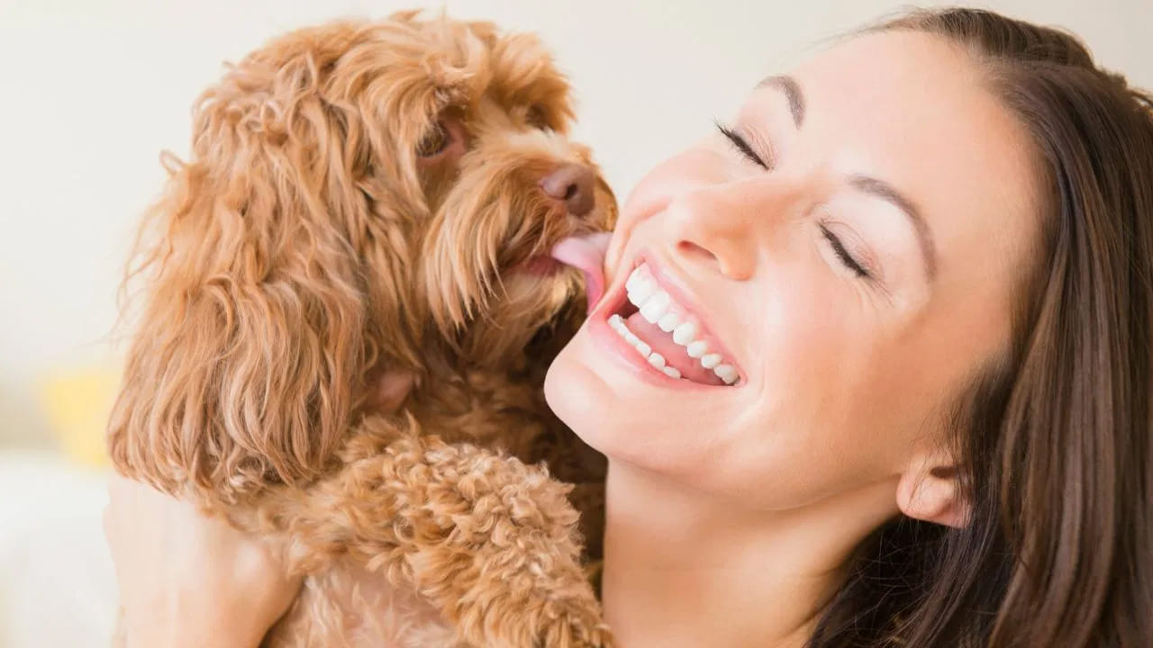 డేంజర్ సామి.. కుక్క నాకితే ఏం జరుగుతుందో తెలుసా..? ఈ లక్షణాలు కనిపిస్తే..