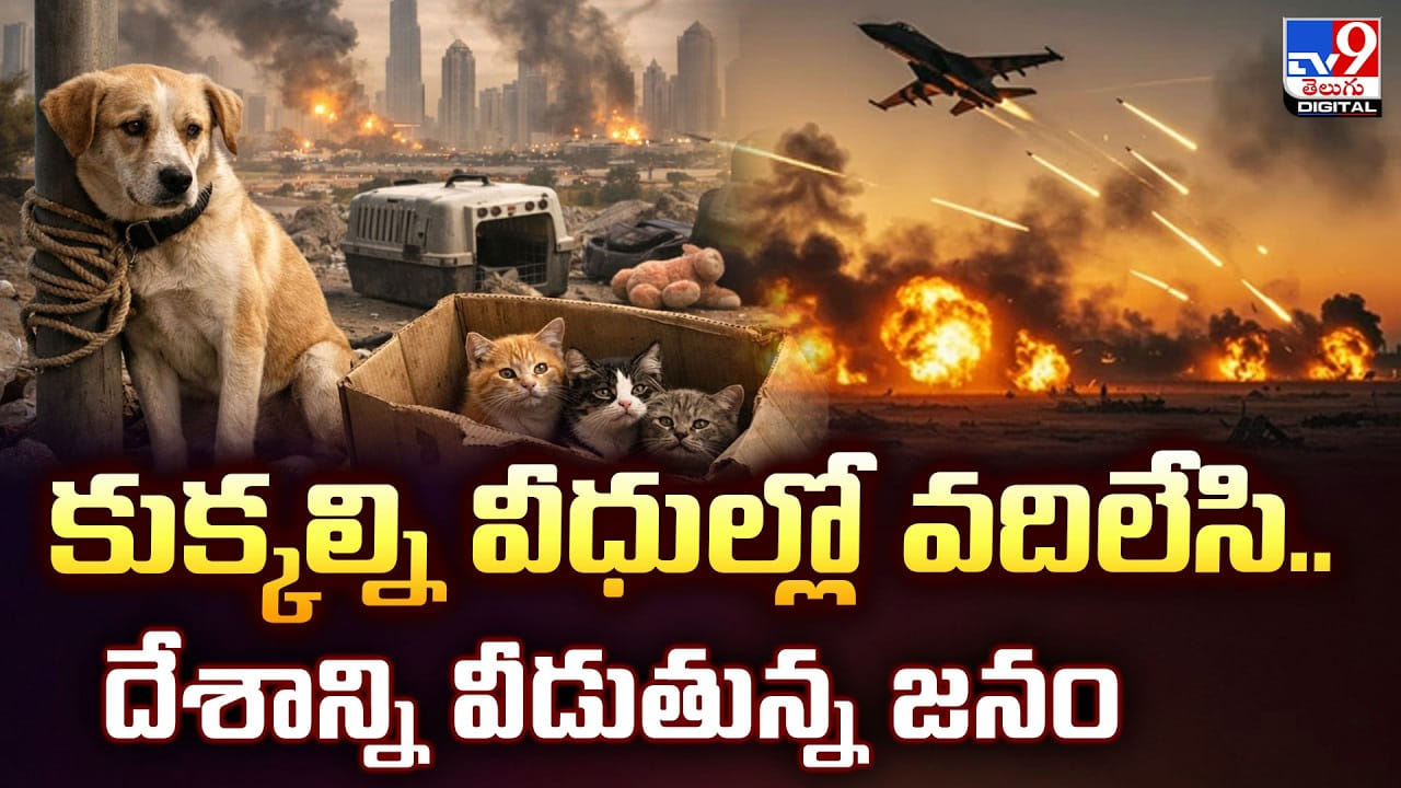 కుక్కల్ని వీధుల్లో వదిలేసి.. దేశాన్ని వీడుతున్న జనం