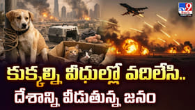 కుక్కల్ని వీధుల్లో వదిలేసి.. దేశాన్ని వీడుతున్న జనం