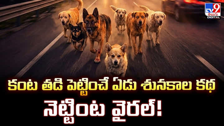 కంట తడి పెట్టించే ఏడు శునకాల కథ.. నెట్టింట వైరల్! కంట తడి పెట్టించే ఏడు శునకాల కథ.. నెట్టింట వైరల్!