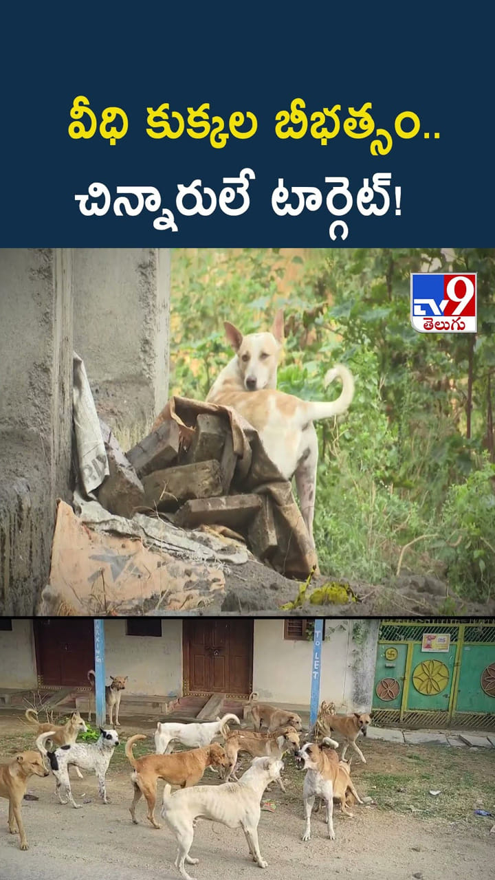 వీధి కుక్కల బీభత్సం.. చిన్నారులే టార్గెట్