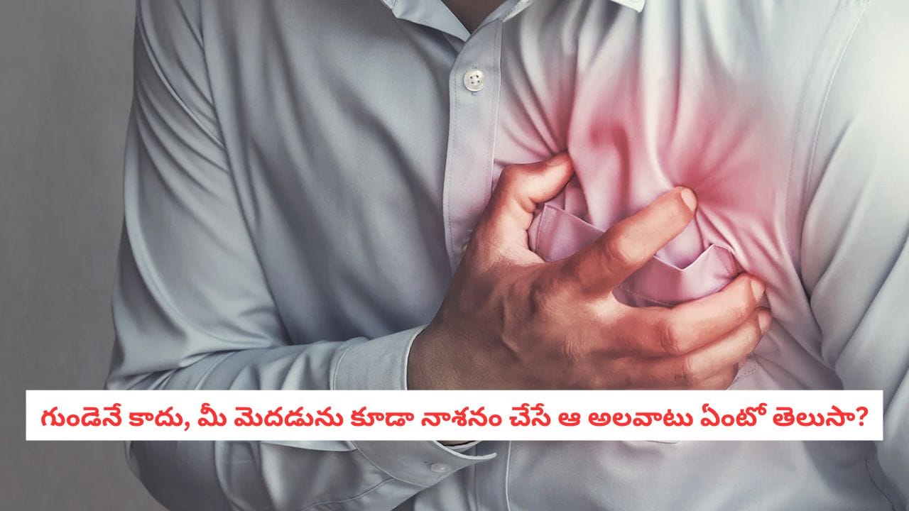 Heart Health: ఈ  ఒక్క అలవాటు మీ శరీరంలోని ప్రతి అవయవాన్ని కుళ్ళిపోయేలా చేస్తుంది!