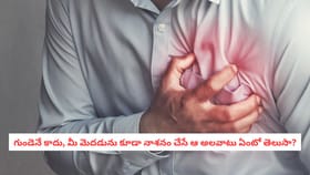 గుండెనే కాదు, మీ మెదడును కూడా నాశనం చేసే ఆ అలవాటు ఏంటో తెలుసా?