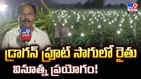 డ్రాగన్ ఫ్రూట్ సాగులో రైతు వినూత్న ప్రయోగం !!