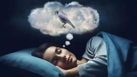 కలలో కాకి కనిపించడం మరణ సూచికమేనా?