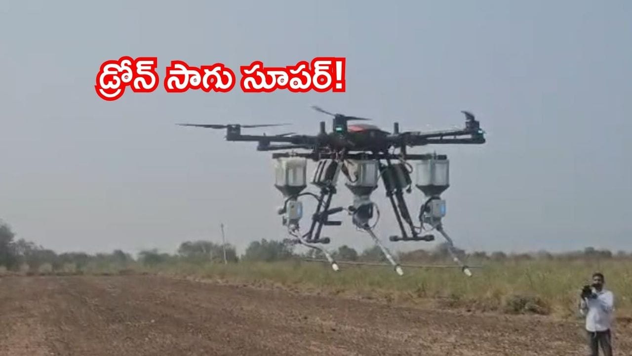 డ్రోన్ తో విత్తనాలు నాటే ప్రక్రియ.. నువ్వులు సాగు చేస్తూ భళా అనిపించుకుంటున్న ఆదిలాబాద్ రైతు