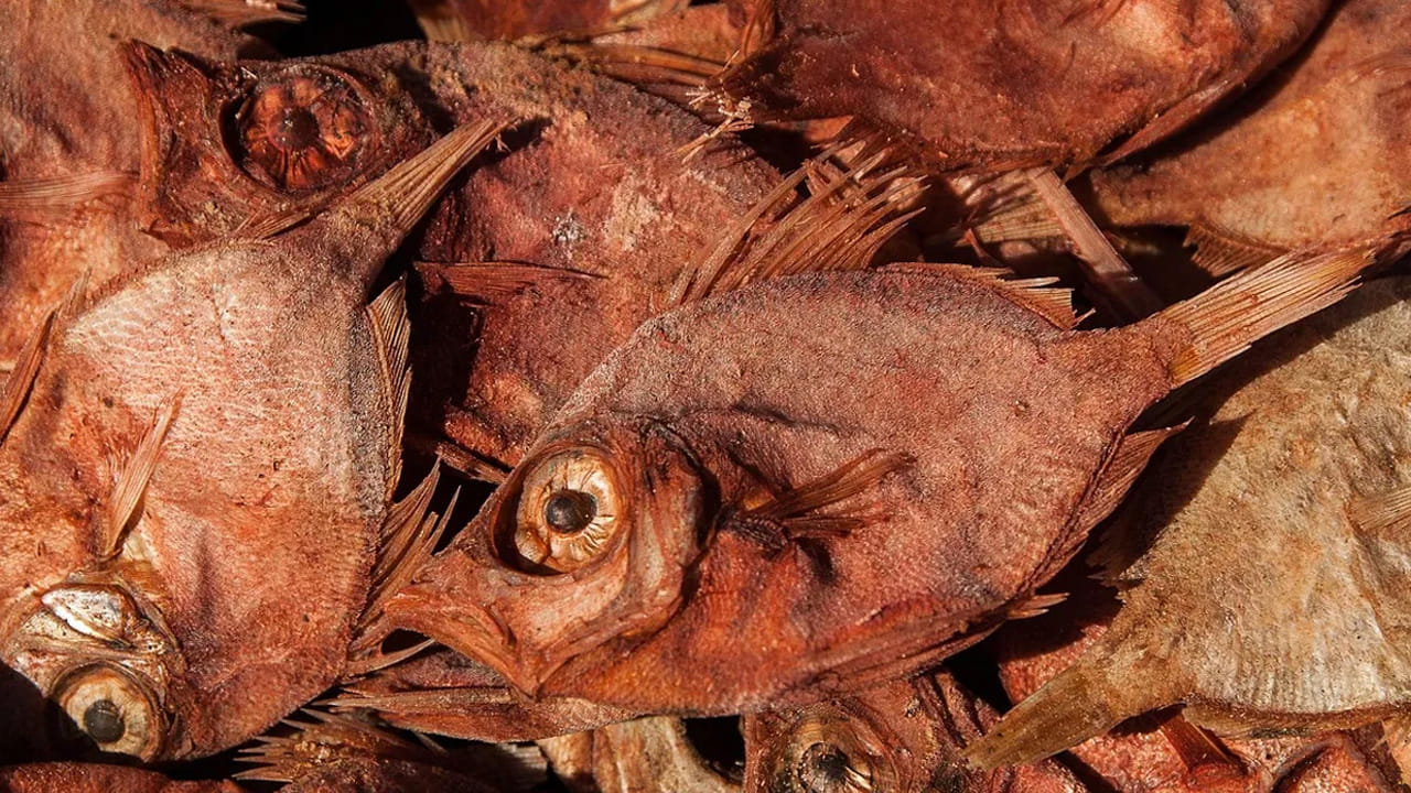 ఉదయం పూట గేదె పాలు తప్పక దొరుకుతాయి. ఈ ఎండు చేపలను తీసుకుని పాలలో నానాబెడితే ఆ వాసన మొత్తం విరిరిపోతోంది. ఆ తర్వాత నీటితో రెండు నుంచి మూడు సార్లు కడిగితే వాసన అస్సలు రాదు.