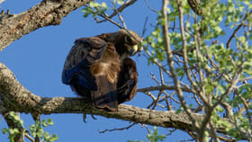 యుద్ధం.. రాజస్థాన్‌కు ప్రత్యేక అతిథులు!