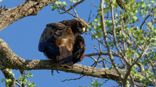OTP చెబితే.. గ్యాస్ సిలిండర్లు మాయం! వైజాగ​్‌లో ఏం జరిగిందో తెలుసా..?