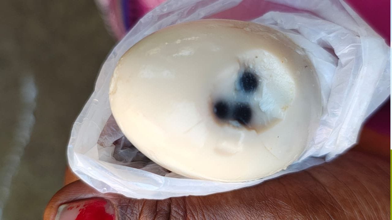 Andhra News: మధ్యాహ్న భోజనంలో గుడ్డు తినబోయిన విద్యార్ధి.. పొట్టు తీయగా కనిపించింది చూసి..