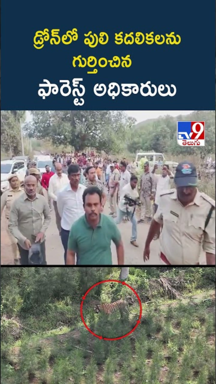 తూర్పు గోదావరి జిల్లాలో పెద్దపులి హల్‌చల్