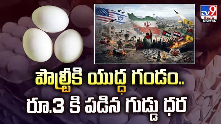 Egg Price: పౌల్ట్రీకి యుద్ధ గండం.. రూ.3 కి పడిన గుడ్డు ధర Egg Price: పౌల్ట్రీకి యుద్ధ గండం.. రూ.3 కి పడిన గుడ్డు ధర