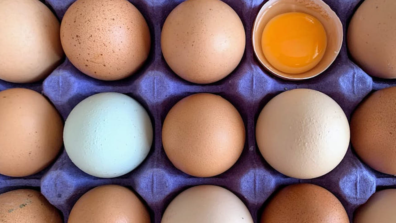 
ఎక్కడో కాదు పొరుగు రాష్ట్రంలో మరి కొద్దీ రోజుల్లో ఈ రూల్ అమలు కాబోతోంది. ఉత్తరప్రదేశ్ యోగి ప్రభుత్వం ఈ రూల్ ను కఠినం చేయనున్నారు. పల్లెటూరి నుంచి పట్టణం వరకు.. చిన్న సరుకుల కొట్టు పెద్ద సూపర్ మార్కెట్స్ వరకు ఈ రూల్ ఫాలో అవ్వాల్సిందే. 
