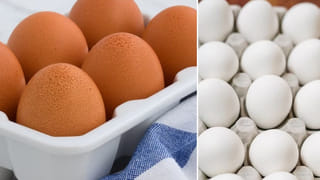 Google: గూగుల్‌లో ఈ 4 సెర్చ్ చేశారో ఇక జైలే.. కాపాడటానికి కోర్టులు కూడా సాయపడవ్