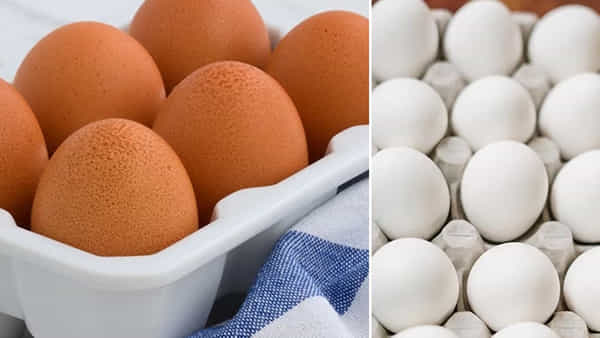 Eggs: మీరు కొనే గుడ్లు తాజాగా ఉన్నాయా..? లేదా పాడైపోయాయా?.. సెకన్లలోనే తెలుసుకోవచ్చు.. ఎలా అంటే..?