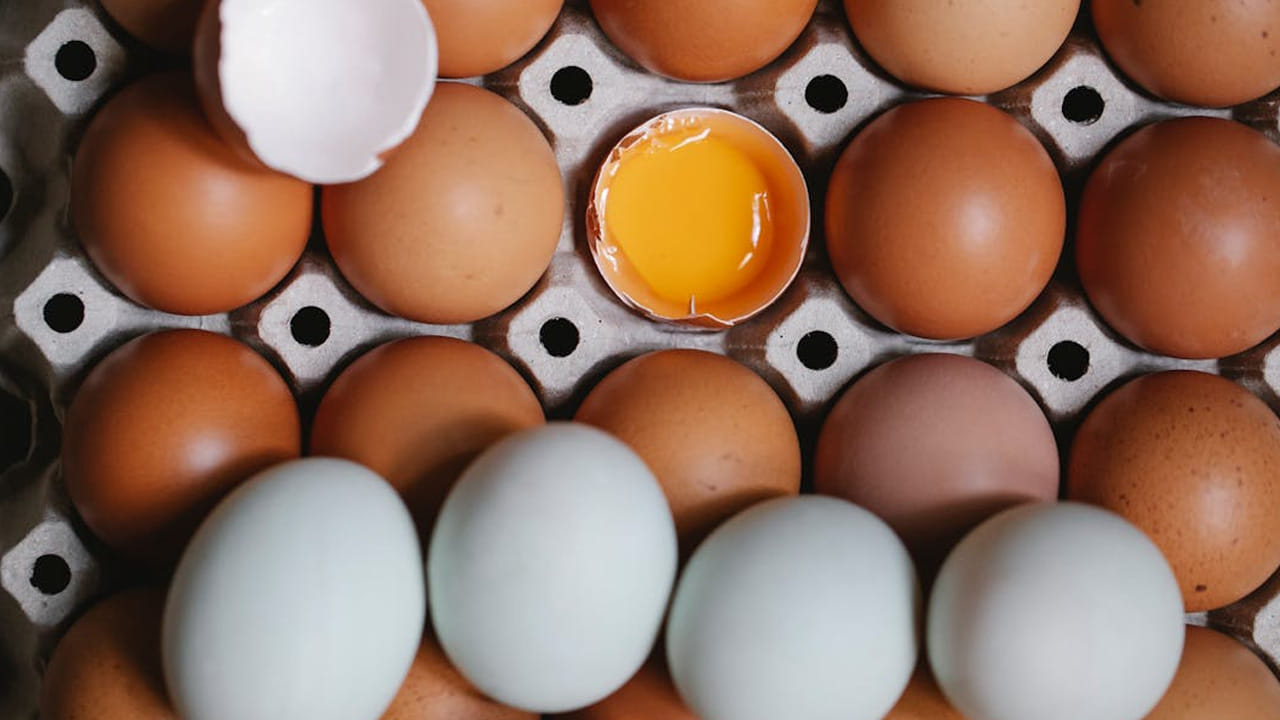 
కోడి గుడ్లు ఎక్కువగా తినే వాళ్లకి ఇది షాక్ న్యూస్. ఇక నుంచి గుడ్ల పై కూడా ఎక్స్‌పైరీ డేట్ రాబోతోంది. మార్కెట్లో కొనే ముందు ఒకటికి రెండు సార్లు చెక్ చేయాలి. దొరికినవి కదా అని ఇంట్లోకి  తీసుకురాకండి. తెలియక నిల్వ ఉన్నవి తిని తిప్పలు తెచ్చుకోకండి. 
