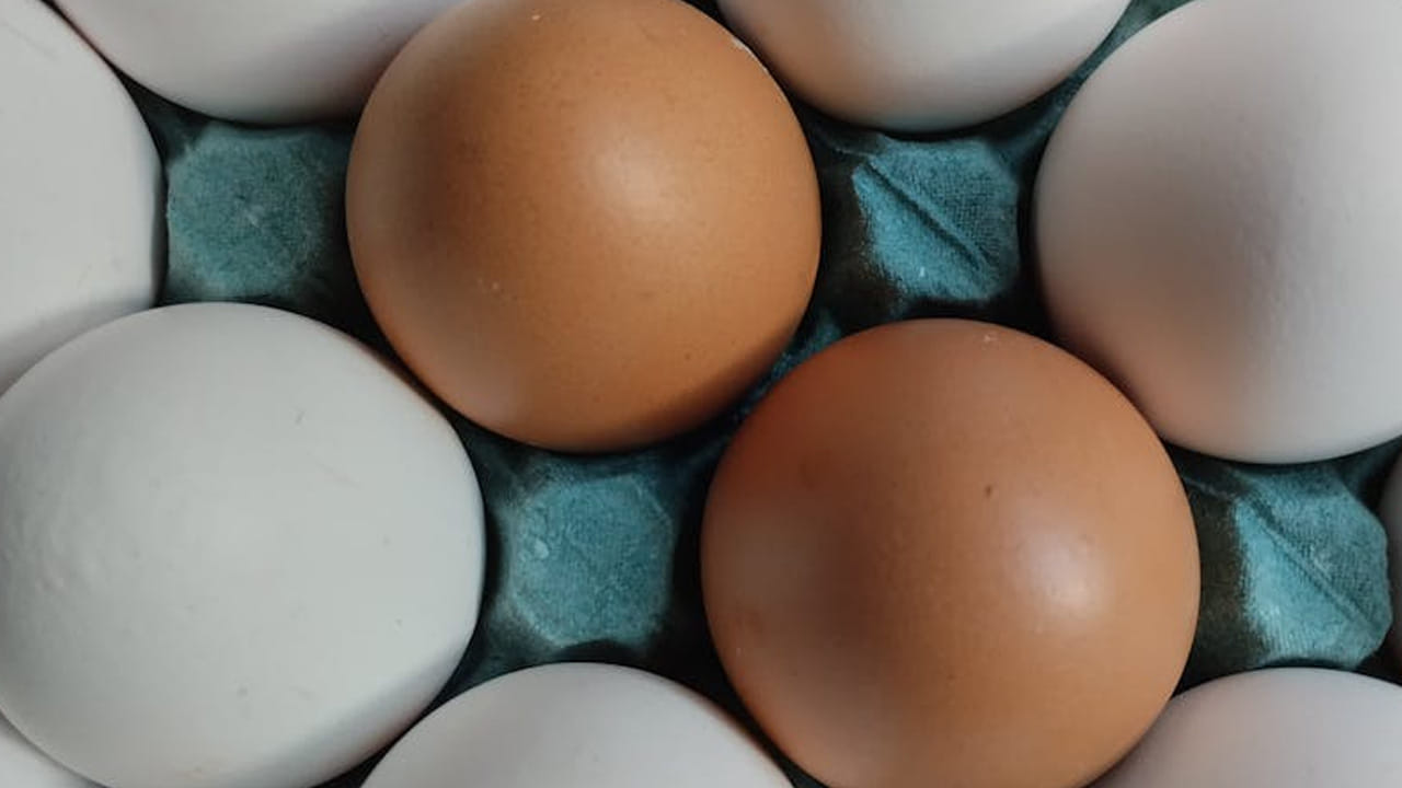 
ప్రభుత్వం జారీ చేసిన ఈ ఆదేశాలను ప్రతి ఒక్కరూ పాటించాల్సిందే. ప్రతి గుడ్డు మీద అది ఏ రోజున పెట్టింది? దీనిని 
ఎప్పటి వరకు తినాలి?  అనే ముఖ్య విషయాలను కచ్చితంగా దాని మీద రాయాల్సిందే అని అర్ధం. 
