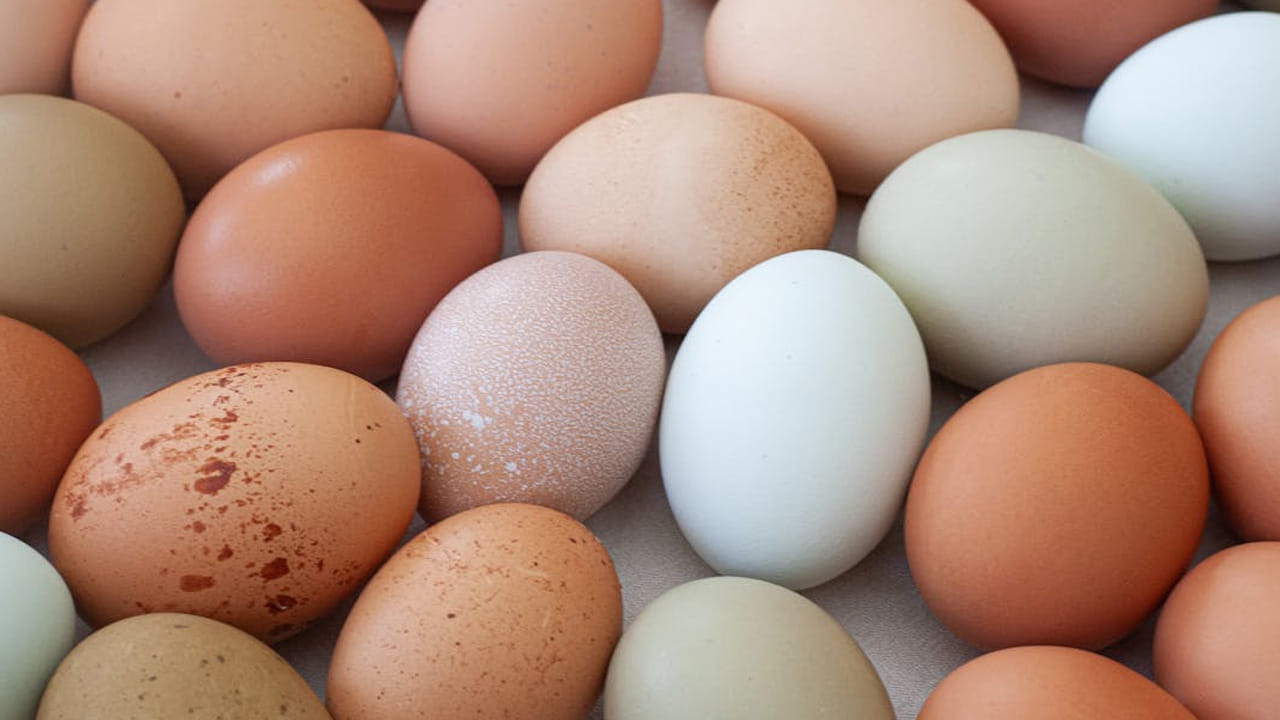 నిపుణులు చెప్పిన దాని ప్రకారం ఎగ్స్  14 రోజుల వరకు మాత్రమే మంచిగా ఉంటాయి. ఇక తక్కువ ఉష్ణోగ్రతలో అయితే మూడు వారాలు మాత్రమే ఉంటాయి. ఆ తర్వాత తినకూడదని చెబుతున్నారు. (NOTE: ఇందులోని అంశాలు కేవలం అవగాహన కోసం మాత్రమే. నిపుణులు అందించిన సమాచారం ప్రకారం ఇక్కడ తెలియజేయడమైనది. ఆరోగ్యరీత్యా ఎలాంటి సమస్యలు ఉన్నానేరుగా వైద్య నిపుణులను సంప్రదించడం మంచిది)