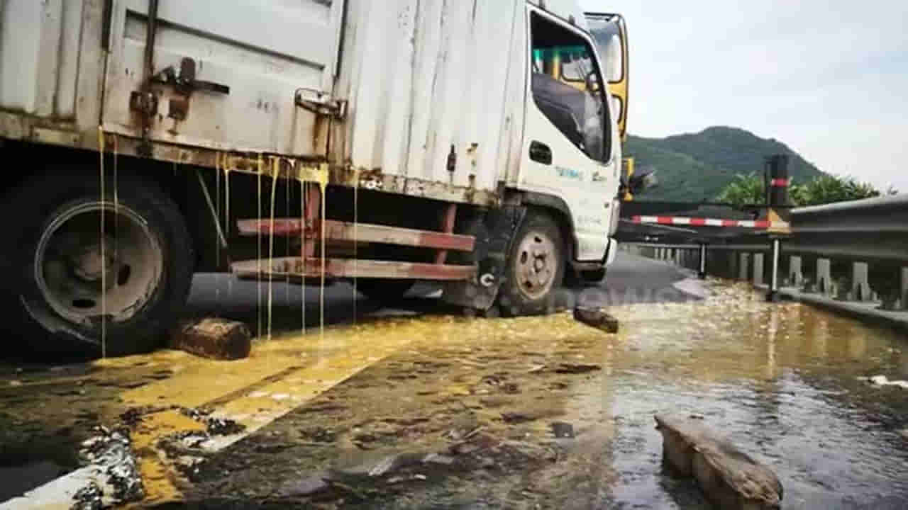 Watch Video: బిజీ రోడ్డుపై కోడి గుడ్లు లారీకి యాక్సిడెంట్.. ఆ తర్వాత సీన్ ఇదే! వీడియో వైరల్