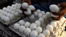 వార్ ఎఫెక్ట్.. పడిపోయిన గుడ్డు ధర