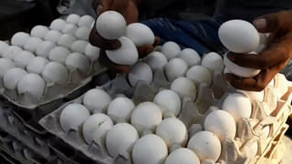 శభాష్ భయ్యా..! బతుకు పోరాటంలోనూ మానవత్వాన్ని చాటుకుంటున్న ఆటో డ్రైవర్..!