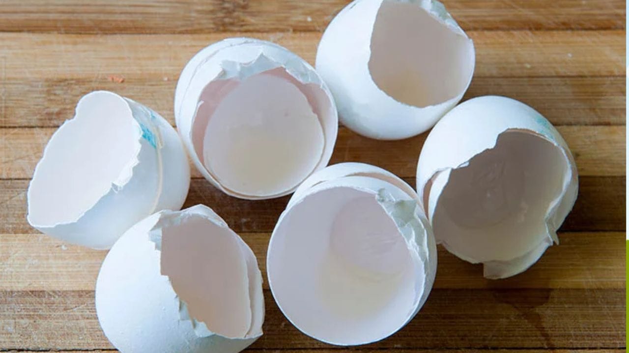 Eggshell Benefits: కోడిగుడ్డు పెంకులతో ఇన్ని లాభాలా? తెలిస్తే అస్సలు పడేయరు!