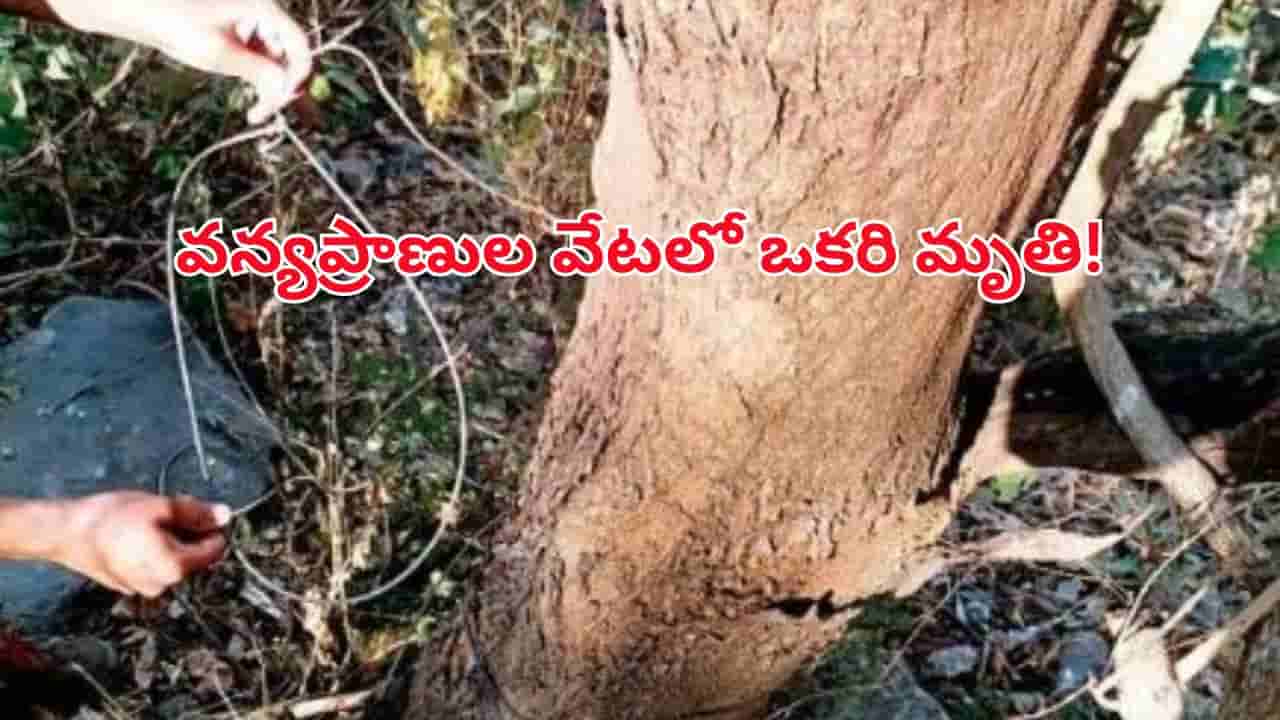 మణుగూరు అడవుల్లో విషాదం.. వన్యప్రాణుల వేటలో ఒకరి మృతి! వేటగాళ్లు వేసిన ఉచ్చులో పడి