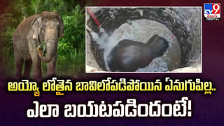 లైవ్ వీడియోలో యూట్యూబర్‌ ఆత్మహత్యా యత్నం.. బాబోయ్