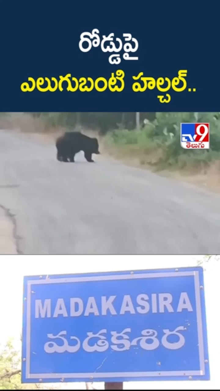 రోడ్డుపై ఎలుగుబంటి హల్చల్.. ఇదిగో వీడియో